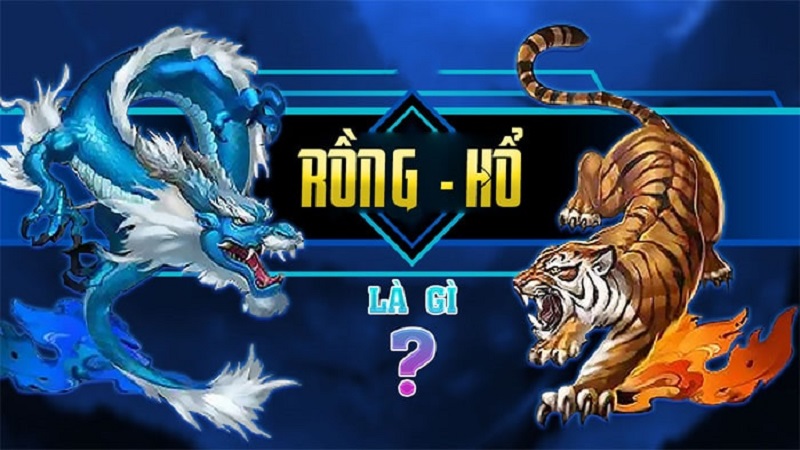 Tìm hiểu về game bài rồng hổ